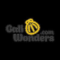 Organización galiwonders
