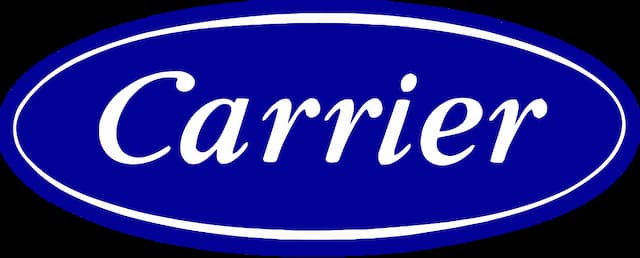 Organización Carrier