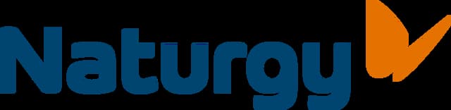Organización Naturgy